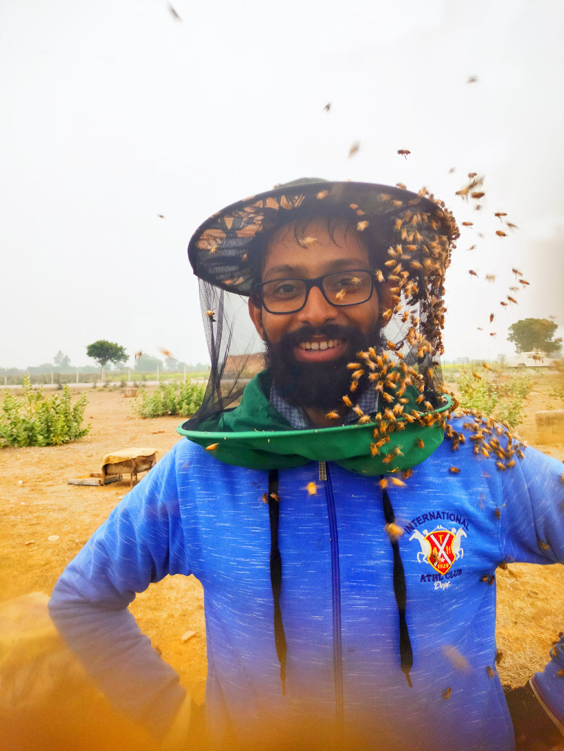 What is Organic Honey? The Story of Unprocessed Organic Honey